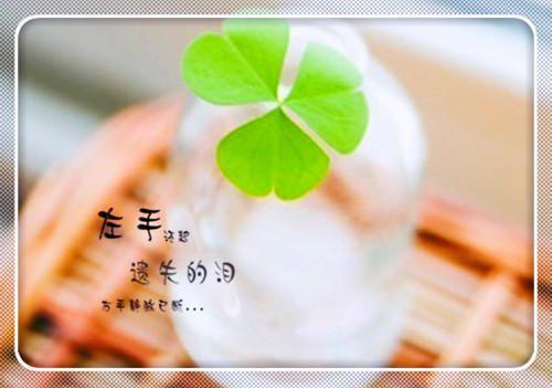 谢承煜姜宁江望舒小说目录 谢承煜姜宁江望舒完整免费版阅读
