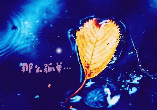 顾琛沈念是啥小说 顾琛沈念免费阅读无广告