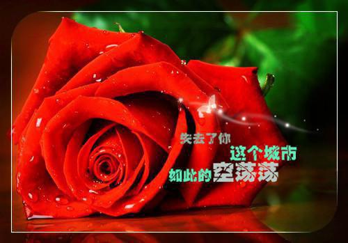 江远鹤谢澜《驸马大作战》小说在线阅读