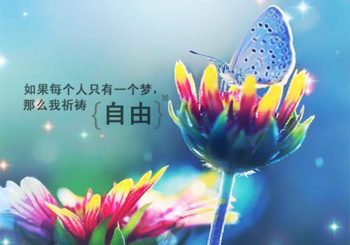 唐雨墨白依依小说在线阅读 唐雨墨白依依最新章节目录