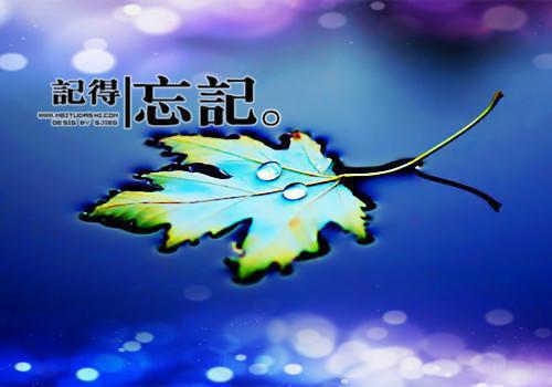 江逸沈熙小说 江逸沈熙完整版免费阅读
