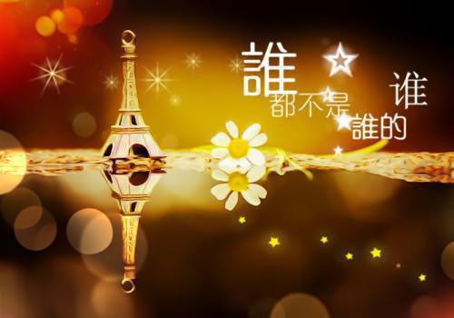 顾琛沈念免费 被抽签嫁给京圈太子爷后，全家都悔疯了完整版小说