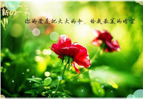 苏文远顾以安是什么小说 老公给了白月全世界，却夺走了女儿的命大神