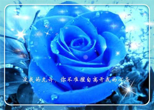 傅锦心靳言舟免费全文 傅锦心靳言舟小说在线阅读