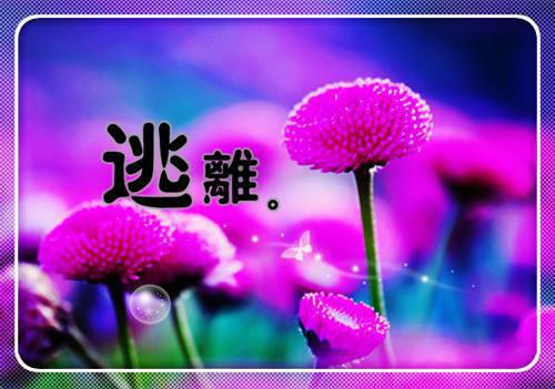 李建军陈秋娘完整未删减版在线阅读 李建军陈秋娘结局