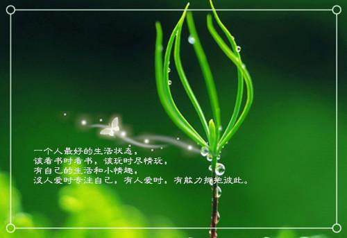 完结文何以入君心小编最新章节列表_完结文何以入君心小编全文免费阅读（乔青蕴傅时宴）