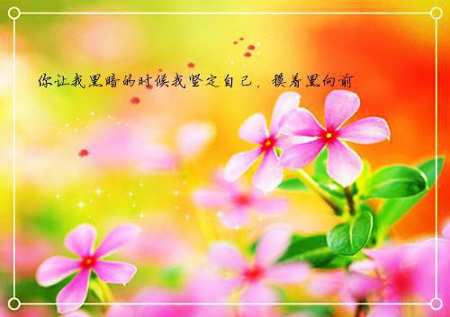 迟来的家人：后续陈琳阳阳最新章节在线阅读