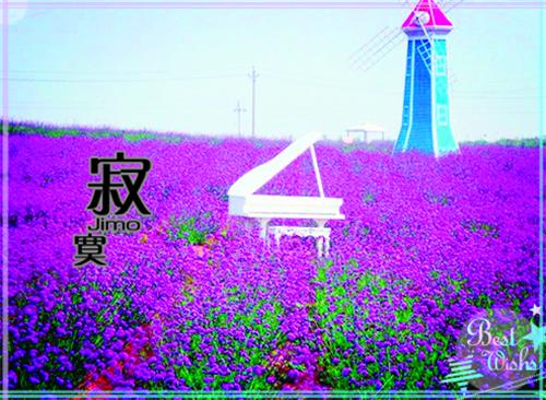 女友高考前怀孕，重生后我不喜当爹了最新章节 张晴晴江澈在线阅读