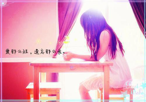 姜寻苏卫舟无弹窗 十年见春深姜寻苏卫舟全文免费阅读