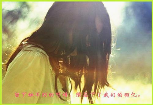 父子都偏心养妹，我撕毁假证独美(结局) 乔念陆晨免费阅读全文