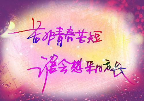 主角是颜洛初谢泽银的小说免费阅读全文大结局