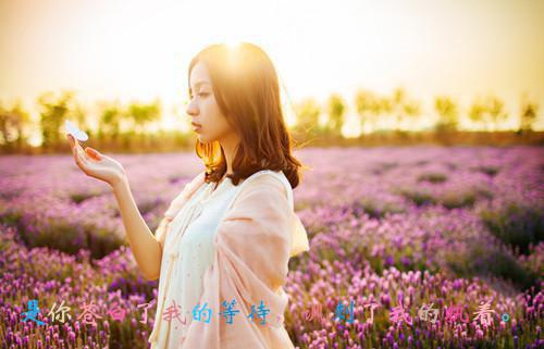 宋妍初顾砚迟完整版 宋妍初顾砚迟小说全文在线阅读