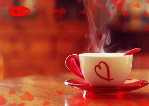 颜锦书是什么小说 颜锦书全本免费阅读