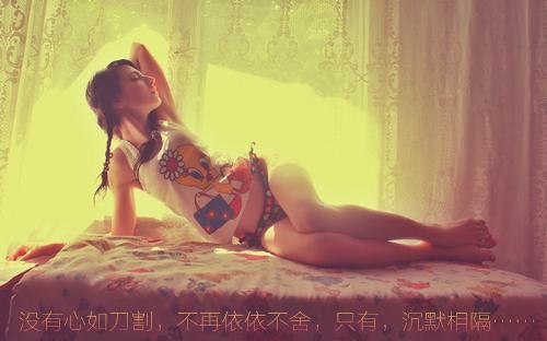 （夏央央秦林）爱如旧梦秦林最终篇章章节在线无广告高口碑小说