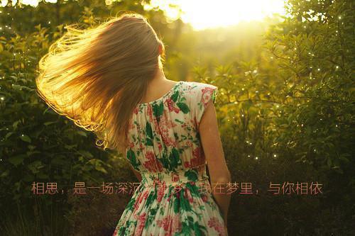 棠棠温毅小说名字 恨我的哥哥解剖我？章节试读