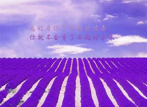 我被学霸诬陷抄袭，女友却让我给他道歉匿名 宋远沈铭泽小说