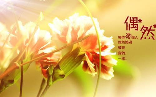 高考比学霸多考二十分，她绑架我***迫我直播承认作弊免费读全文 沈既川江芊芊小说无弹窗