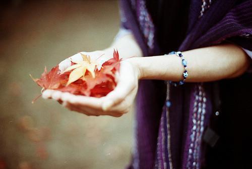 主角江青柠陆北辰小说 江青柠陆北辰小说全文免费阅读