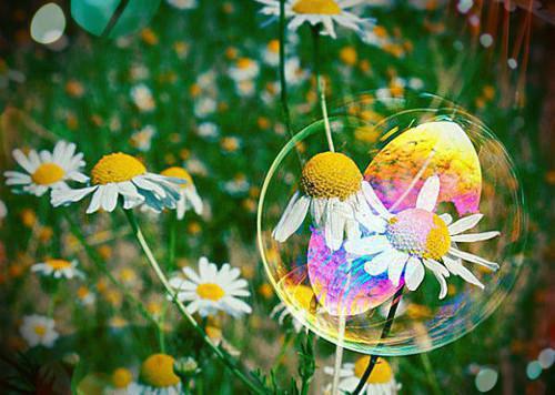 情殇十年:结局+番外(情殇十年:结局+番外)全文免费阅读无弹窗大结局_情殇十年:结局+番外(萧恒梅如雪江漓)最新章节列表_笔趣阁(萧恒梅如雪江漓)