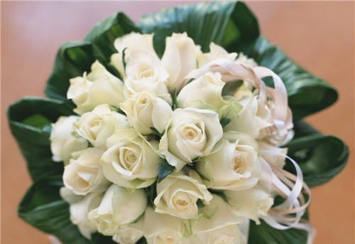 落魄后，我被装穷的前夫娇宠了贺知州唐安然全文阅读 贺知州章节阅读