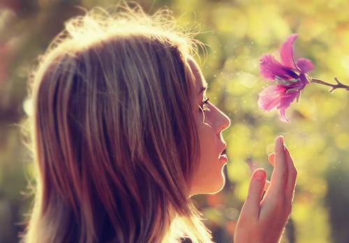 鹿鸣哟哟无广告 慕九思顾呦呦在线免费阅读