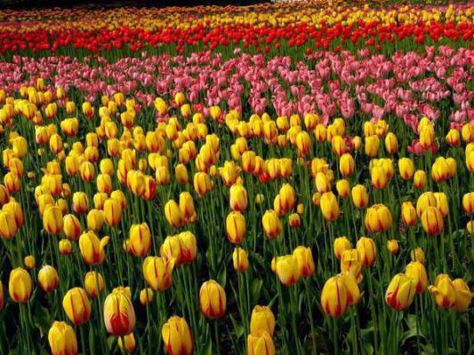 主角是赵茗郑无念的小说免费阅读全文大结局