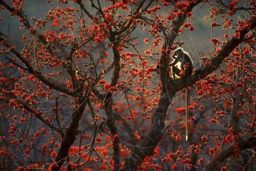 徐荟苓江临宏的小说 徐荟苓江临宏全文免费阅读