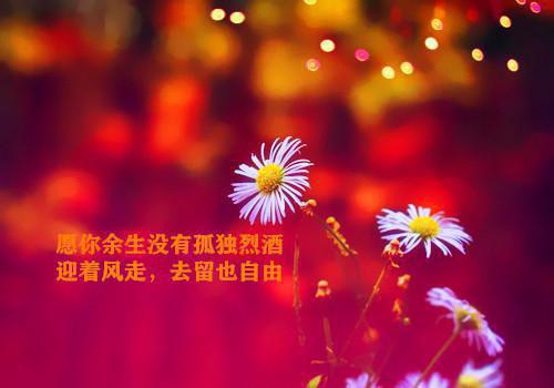 (番外)+(全文)宋泠音商予淮大结局：+后续+结局（商予淮宋泠音）全文免费阅读无弹窗大结局_（宋泠音商予淮大结局：+后续+结局免费阅读全文大结局）最新章节列表_笔趣阁（宋泠音商予淮大结局：+后续+结局）