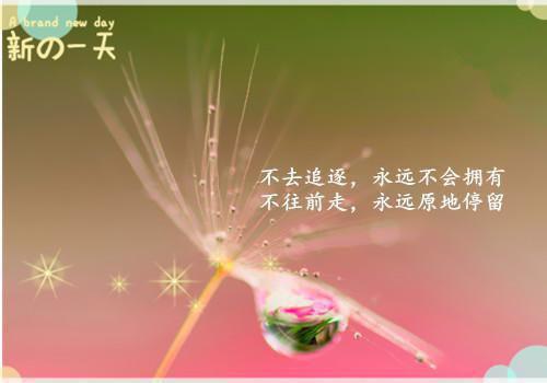 撞破异地恋男友出轨，我清醒反击最新小说（杨曼尼）全文阅读
