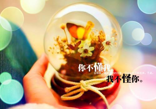 我死在了丈夫最恨我的那天最新章节 陆帆沈曦在线阅读