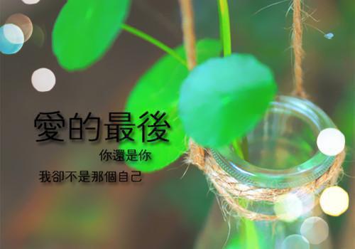 霜华尽无广告 谢竹韵陆离在线免费阅读