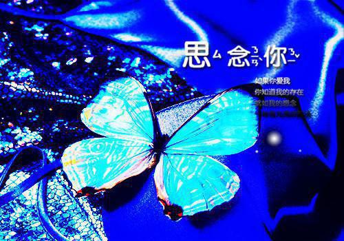 青青顾星辞小说全文 青青顾星辞小说免费阅读大结局