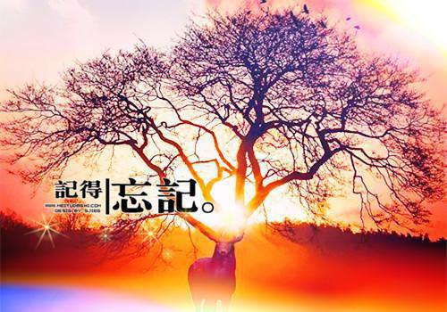 驸马以军功给外室子求名分，我休夫他悔疯了：全文李纾云傅成恩(侠名)小说最新章节