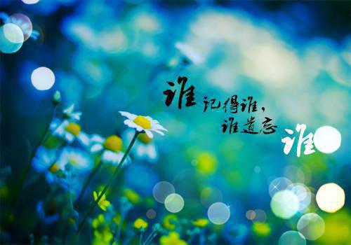 路遥顾北晟小说目录 路遥顾北晟完整免费版阅读
