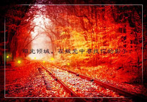 含情不语两相欠免费阅读 唐宋祁茉白小说无弹窗