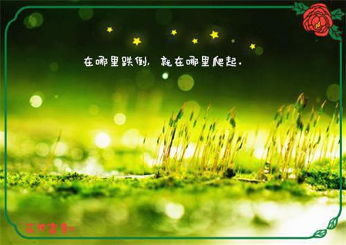 王煜王梓聪小说免费试读 王煜王梓聪第4章