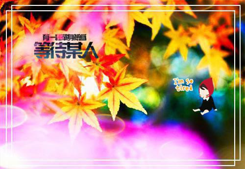 大魏废太子苏晨苏无悔无广告小说免费在线阅读