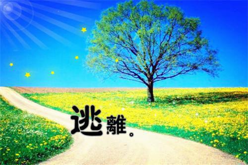 李采灵卫从墨是什么小说 李采灵卫从墨全本免费阅读