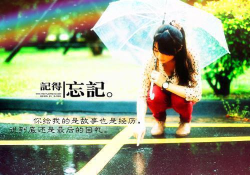 宋珏沈卿是啥小说 宋珏沈卿免费阅读无广告