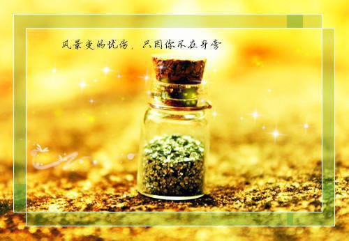 顾谨言温以宁免费阅读目录 顾谨言温以宁小说全文