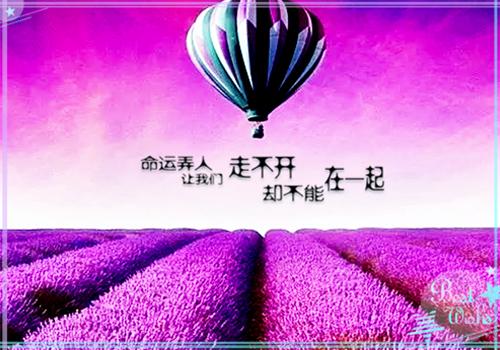 手撕爱装烂好人伪善室友小说 李语燕谢婉在线阅读