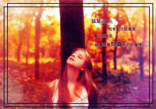 花晚意陆知遥小说阅读 花晚意陆知遥全文免费无广告