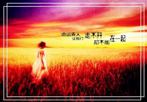 严清最后结局 严清完结版免费阅读