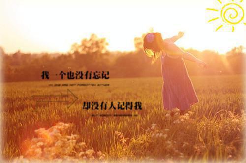 霜染旧枝残梦裴御琛林晚星免费章节试读