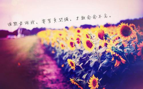王煜王梓聪全文免费阅读最新 王煜王梓聪第2章