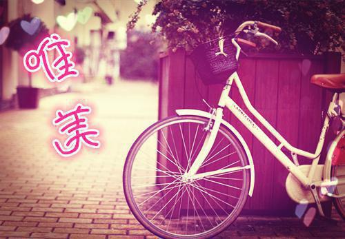 苏知夏陆晨全文阅读最新 苏知夏陆晨小说目录