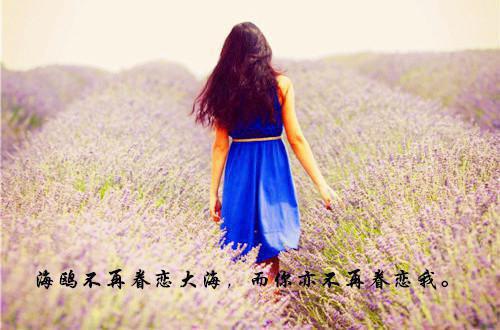 (番外)+(全文)偏我情深一往：番外+全文+后续（陆斐年沈卿卿）完整版小说阅读_偏我情深一往：番外+全文+后续免费阅读_笔趣阁（陆斐年沈卿卿）