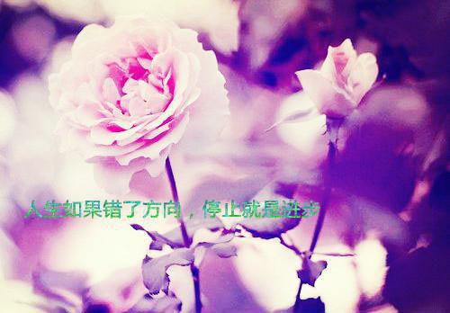 顾砚廷宋玉茹免费阅读目录 顾砚廷宋玉茹小说全文