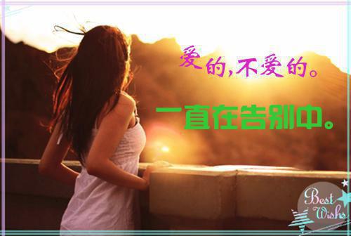 顾知越周诗曼顾时初全文最新章节正版小说免费阅读