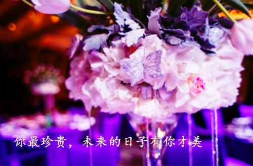 沈清韵傅景琛（傅景琛沈清韵）免费阅读无弹窗大结局_沈清韵傅景琛小说（傅景琛沈清韵）免费阅读最新章节列表